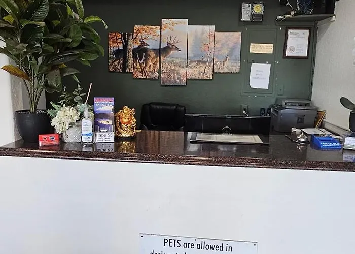 Motel Travel & Springerville