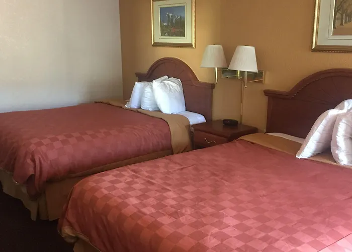 Travel & 2* Springerville
